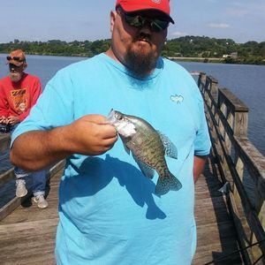 Meet your Posher, Billy